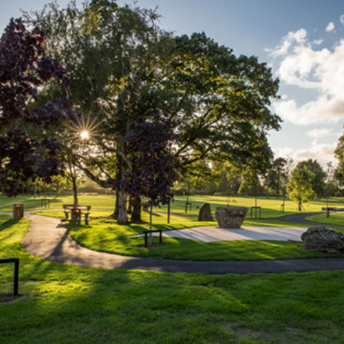 Croom Town Park Co. Limerick Biodiversity Action Plan 20222026
